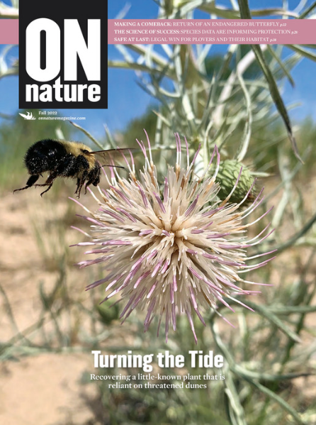 Featured Artist - ON Nature Magazine 🐝 🌸