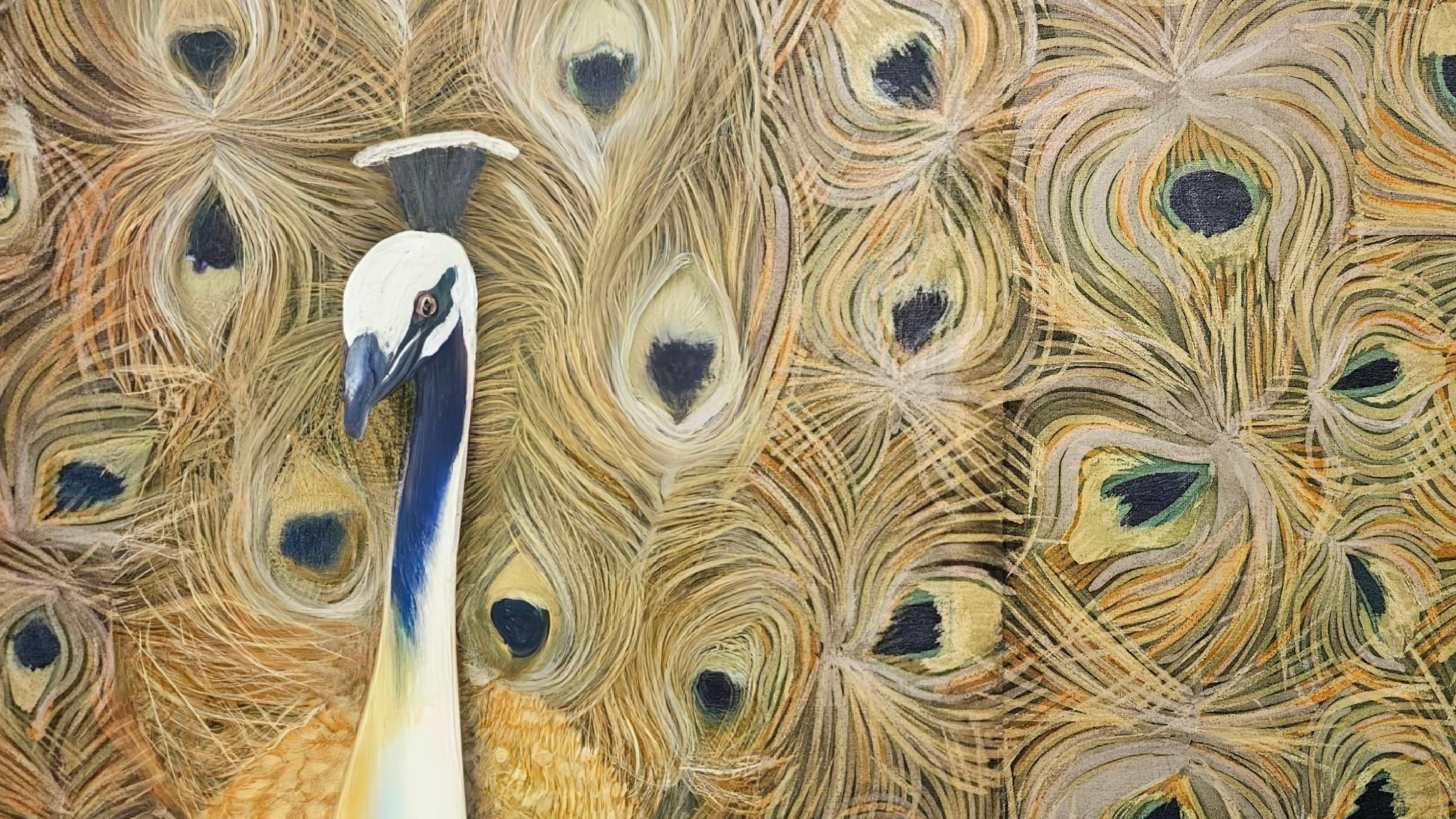 Close-up of a peacock with detailed feather patterns
